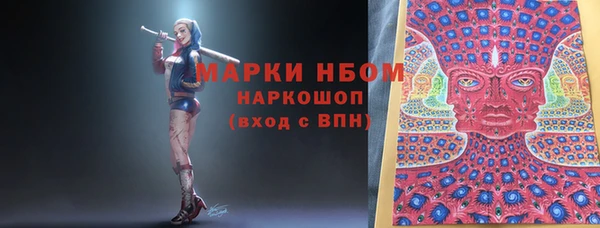 прущие грибы Кукмор