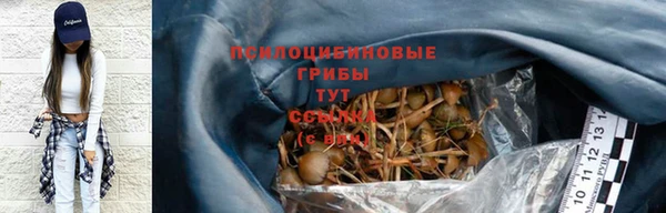 твердый Корсаков