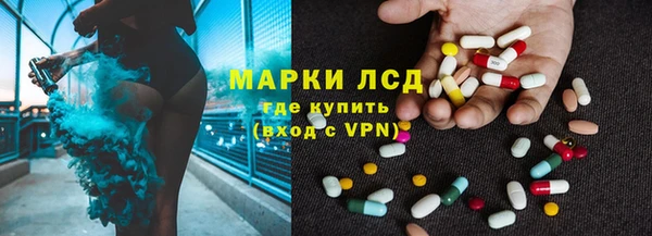 прущие грибы Куйбышев