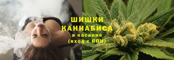мяу мяу кристалл Костерёво