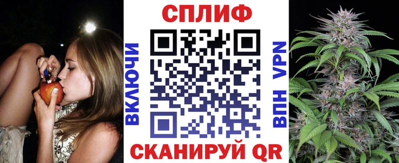 Шишки марихуана планчик  где купить наркоту  Колпашево 
